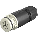 41.021.3041.8 | Wieland, RST 08i2/3 Female 2 Pole Circular Connector, Cable Mount, with Strain Relief, Rated At 8A, 50 V, 120 V