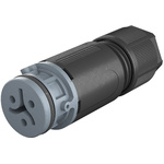 41.031.3041.4 | Wieland, RST 08i2/3 Female 3 Pole Female Connector, Cable Mount, with Strain Relief, Rated At 8A, 50 V, 120 V