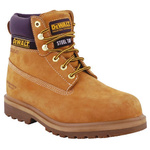 Dewalt Explorer Size 11 | DeWALT Explorer Honey Steel Toe Capped Mens Safety Boots, UK 11, EU 45