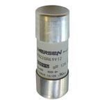 F1018560 | Mersen 100A FF Cartridge Fuse, 22 x 58mm