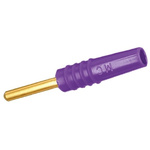 Staubli Violet Male Test Plug, 2mm Connector, Solder Termination, 10A, 30 V, 60V dc, Gold Plating