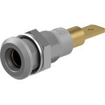 Staubli Grey Socket Test Socket, Tab Termination, 25A, 30V ac, Gold Plating