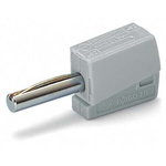 Wago Grey Male Banana Connector, 19.5 mm Connector, Cage Clamp Termination, 20A, 42V