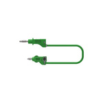 Electro PJP Test lead, 36A, 30 → 60V, Green, 200cm Lead Length