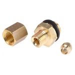 Legris Brass Pipe Fitting, Straight Compression Coupler, Male G 1/8in to Female 4mm