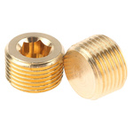 Legris Brass Pipe Fitting, Straight Threaded Plug, Male R 3/8in