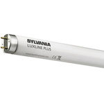 1095 | Sylvania 70 W T8 6ft Fluorescent Tubes, 5700 lm, 1800mm, G13