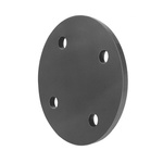 Georg Fischer Flange