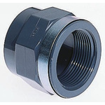 Georg Fischer Socket PVC & ABS Threaded Fitting