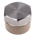 RS PRO Stainless Steel Pipe Fitting, Straight Hexagon Hexagon Plug, Male R 1-1/2in