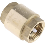RS PRO Brass Single Check Valve, BSPP 1in, 12 bar