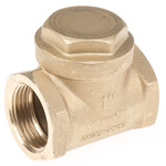 RS PRO Brass Single Non Return Valve, BSP 1in, 12 bar