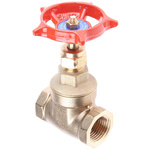 RS PRO Gate Valve, 1/2in