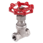 RS PRO Stainless Steel Globe Valve, 3/8 in BSP 32 bar