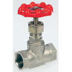 RS PRO Stainless Steel Globe Valve, 2 in BSP 32 bar