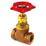 RS PRO Gate Valve, 1/2in
