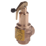Nabic Valve Safety Products 3bar Pressure Relief Valve With Female BSP 1/2 in BSP Female Connection and a BSP 1/2