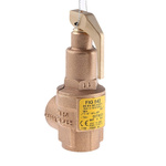 Nabic Valve Safety Products 4bar Pressure Relief Valve With Female BSP 3/4 in BSP Female Connection and a BSP 3/4
