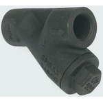 Spirax Sarco, 1 in BSP Iron Y Strainer