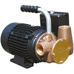 Xylem Jabsco Centrifugal Electric Operated Positive Displacement Pump, 80L/min, 230 V ac