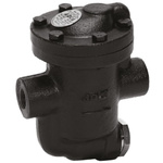 RS PRO 8 bar SG Iron Inverted Bucket Steam Trap, 3/4 in BSP Female