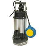 W Robinson And Sons 110 V Direct Coupling Submersible Submersible Water Pump, 240L/min