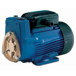 230 V 8 bar Peripheral Water Pump