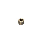 Legris NPT 1/4 Male Brass Tubing Plug