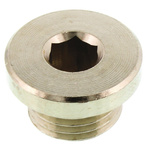 Legris G 1/4 Brass Corrosion Resistant Plug
