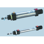 Parker Pneumatic Piston Rod Cylinder - 25mm Bore, 250mm Stroke, P1A Series, Double Acting