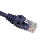 RS PRO Cat6 Male RJ45 to Male RJ45 Ethernet Cable, Purple, 2m