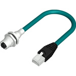 Cat6a Straight Female M12 to Male RJ45 Ethernet Cable, Teal PUR Sheath, 500mm