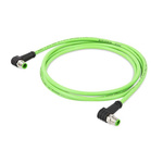 Wago Cat5e Right Angle Male M12 to Right Angle Male M12 Ethernet Cable, Aluminium Foil, Tinned Copper Braid, Green