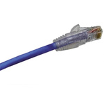 Molex Premise Networks Cat5e Straight Male RJ45 to Straight Male RJ45 Ethernet Cable, U/UTP, Blue PVC Sheath, 2m