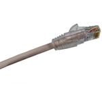 Molex Premise Networks Cat5e Straight Male RJ45 to Straight Male RJ45 Ethernet Cable, U/UTP, Grey PVC Sheath, 5m