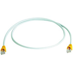 Telegartner Cat6a Male RJ45 to Male RJ45 Ethernet Cable, S/FTP, Grey LSZH Sheath, 7.5m