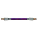 Igus Cat5 Male RJ45 to Male RJ45 Ethernet Cable, STP, Purple PUR Sheath, 2m