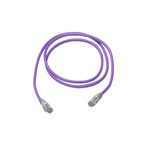 Amphenol Industrial Cat6 RJ45 to RJ45 Ethernet Cable, Unshielded, Purple, 90m