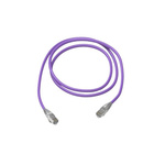 Polyco Healthline Cat6a Straight Male RJ45 to Straight Male RJ45 Ethernet Cable, Shielded, Purple LSZH Sheath, 10m