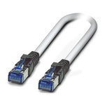 Phoenix Contact Cat6 Male RJ45 to RJ45 Ethernet Cable, S/FTP, White, 3m