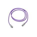 Amphenol Industrial Cat6 RJ45 to RJ45 Ethernet Cable, Unshielded, Purple, 40m