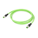 Wago Cat5e Straight Male M12 to Straight Male M12 Ethernet Cable, Aluminium Foil, Tinned Copper Braid, Green