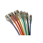 Molex Premise Networks Cat6a RJ45 to RJ45 Ethernet Cable, F/UTP, Green, 250mm