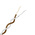 RS PRO Type T Thermocouple Wire, 25m, PFA Insulation, +260°C Max, 7/0.2mm