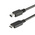StarTech.com USB C to Mini DisplayPort Adapter, USB 3.1, 1 Supported Display(s) - 4K @ 60Hz