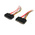 StarTech.com Female SATA Data; SATA Power to Male SATA Data; SATA Power  Cable, 300mm