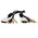 StarTech.com Male 3.5mm Stereo Jack x 2; DVI-D Dual Link; USB A to Male 3.5mm Stereo Jack x 2; DVI-D Dual Link; USB B
