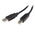 StarTech.com USB 2.0 Cable, Male USB A to Male USB B Cable, 2m