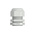1SNG Series Light Grey PA 6 Cable Gland, PG21 Thread, 13mm Min, 18mm Max, IP66, IP68