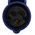 Scame IP54 Blue Industrial Power Connector Adapter Socket, Rated At 16A, 250 V
